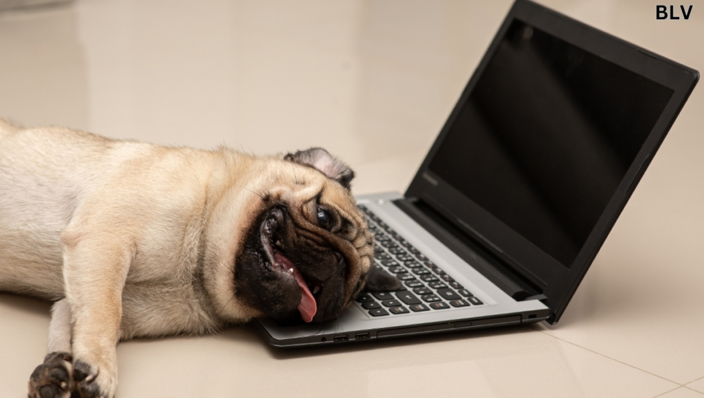 Why is My Laptop Fan So Loud? 5 Pro Tips 2 Malware that is suspected