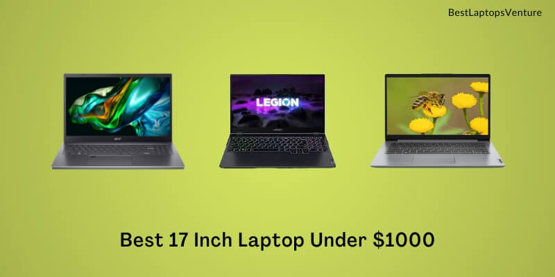 Best 17 Inch Laptop Under 1000 Dollars