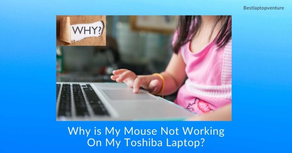 Why is My Mouse Not Working On My Toshiba Laptop?